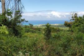 Residential Lot for Sale in St. Ann's Bay