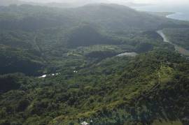 Residential Lot for Sale in Port Antonio