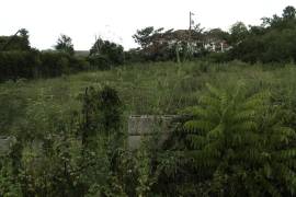 Residential Lot for Sale in White House WD