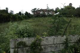 Residential Lot for Sale in White House WD