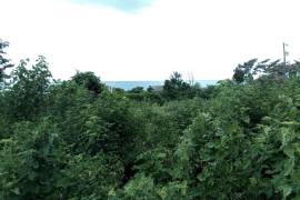 Residential Lot for Sale in White House WD