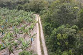 Residential Lot for Sale in Rio Bueno