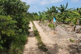 Residential Lot for Sale in Rio Bueno