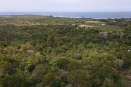 Residential Lot for Sale in Rio Bueno