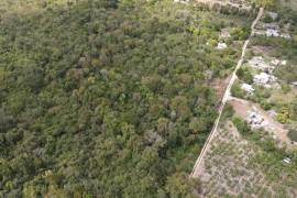 Residential Lot for Sale in Rio Bueno