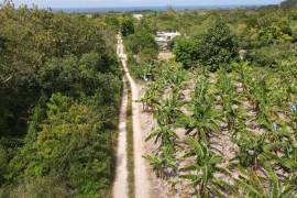 Residential Lot for Sale in Rio Bueno