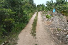 Residential Lot for Sale in Rio Bueno