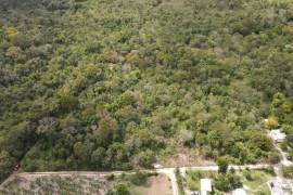 Residential Lot for Sale in Rio Bueno