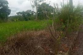 Residential Lot for Sale in Mandeville