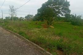 Residential Lot for Sale in Mandeville