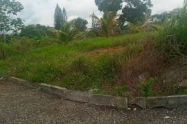 Residential Lot for Sale in Mandeville