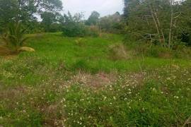 Residential Lot for Sale in Mandeville