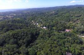 Residential Lot for Private in Port Morant