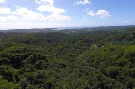 Residential Lot for Private in Port Morant