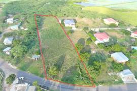 Residential Lot for Sale in Treasure Beach