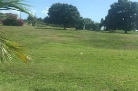 Residential Lot for Sale in White House WD