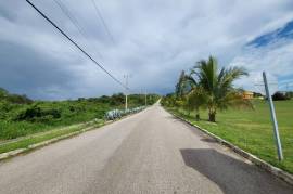 Residential Lot for Sale in White House WD