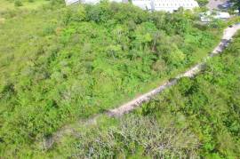 Residential Lot for Sale in Mandeville