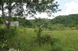 Residential Lot for Sale in Browns Town