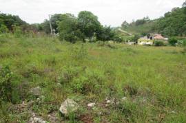 Residential Lot for Sale in Browns Town