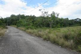 Residential Lot for Sale in Browns Town