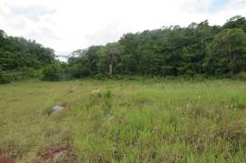 Residential Lot for Sale in Browns Town