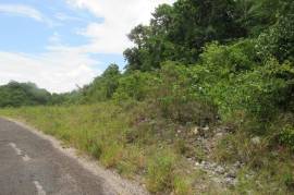 Residential Lot for Sale in Browns Town