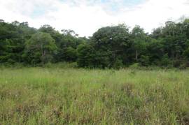 Residential Lot for Sale in Browns Town