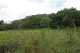 Residential Lot for Sale in Browns Town