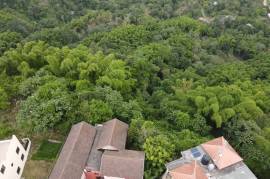 Residential Lot for Sale in Kingston 9