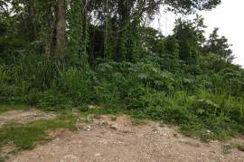 Residential Lot for Sale in Kingston 9