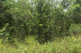 Residential Lot for Sale in Mandeville