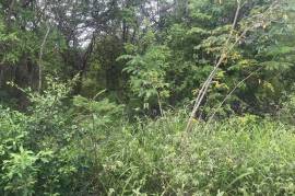 Residential Lot for Sale in Mandeville