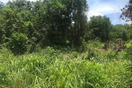 Residential Lot for Sale in Mandeville