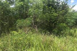 Residential Lot for Sale in Mandeville