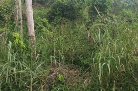 Residential Lot for Sale in Kingston 19