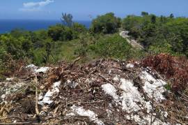 Residential Lot for Sale in Montego Bay