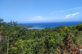 Residential Lot for Sale in Montego Bay