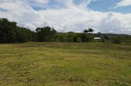 Residential Lot for Sale in Duncans