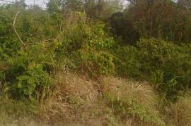 Residential Lot for Sale in Duncans