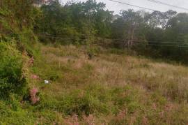 Residential Lot for Sale in Duncans