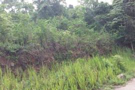 Residential Lot for Sale in Kingston 19