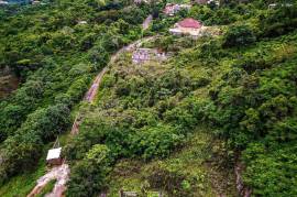 Residential Lot for Sale in Kingston 19