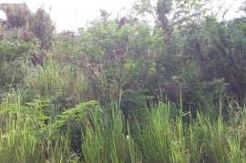 Residential Lot for Sale in Kingston 19