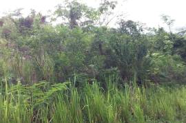 Residential Lot for Sale in Kingston 19