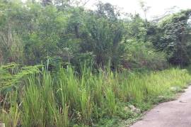 Residential Lot for Sale in Kingston 19