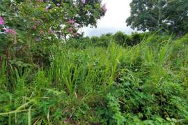 Residential Lot for Sale in St. Ann's Bay