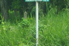 Residential Lot for Sale in St. Ann's Bay