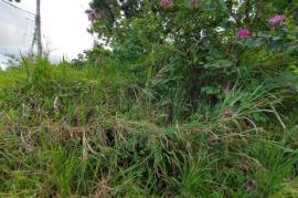 Residential Lot for Sale in St. Ann's Bay