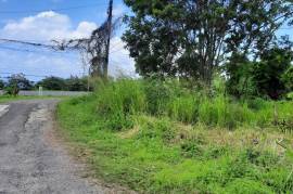 Residential Lot for Sale in Tower Isle